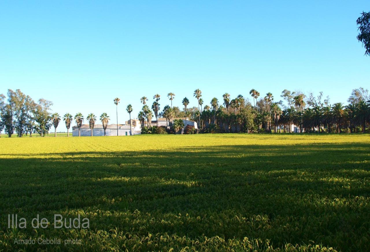 Villa Paquita Loft Deltebre Exteriér fotografie